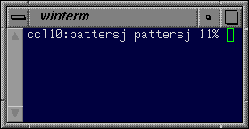 winterm window